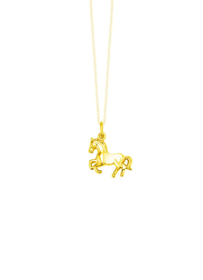 Gouden paardenhanger 