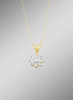 Hanger met briljant en diamanten 