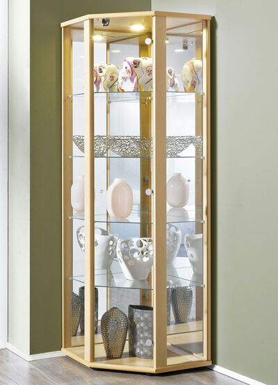 Hoekvitrine met LED-verlichting 