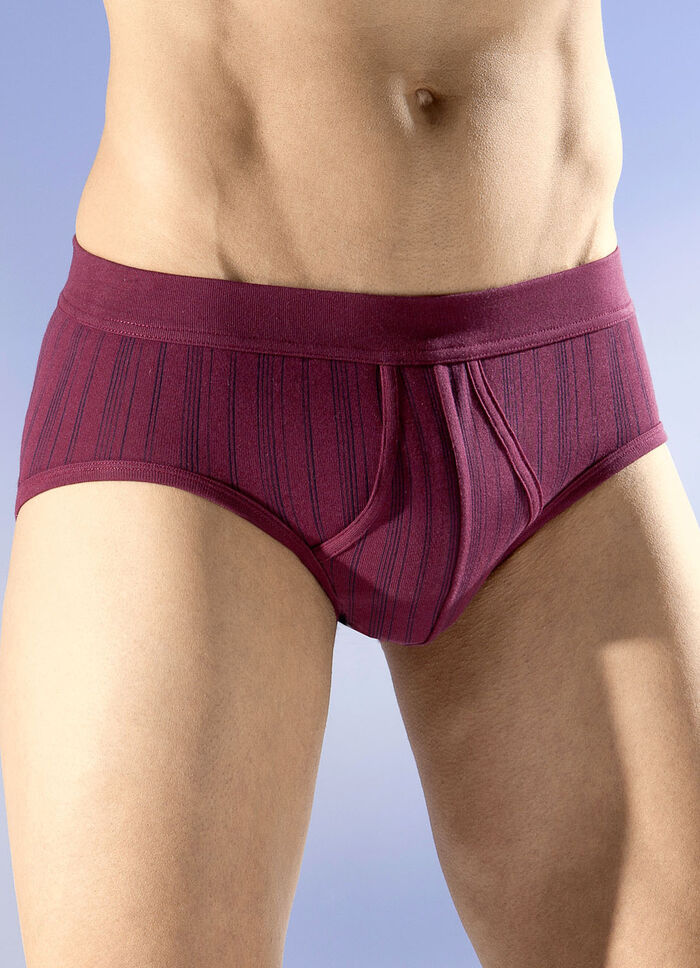 Schiesser set van twee slips met een gestreept dessin 2X BORDEAUX