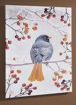 Foto Vogel van het Jaar 2025 Zwarte Roodstaart op canvas KLEURRIJK