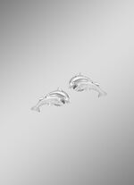 Oorbellen met dolfijnen 