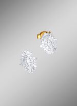 Exclusieve diamant-oorbellen 