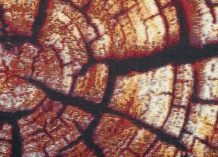 Tapijt in een natuurlijk boomstamdessin 