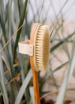 Badborstel van lotushout 