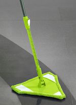 Driehoekige mop 