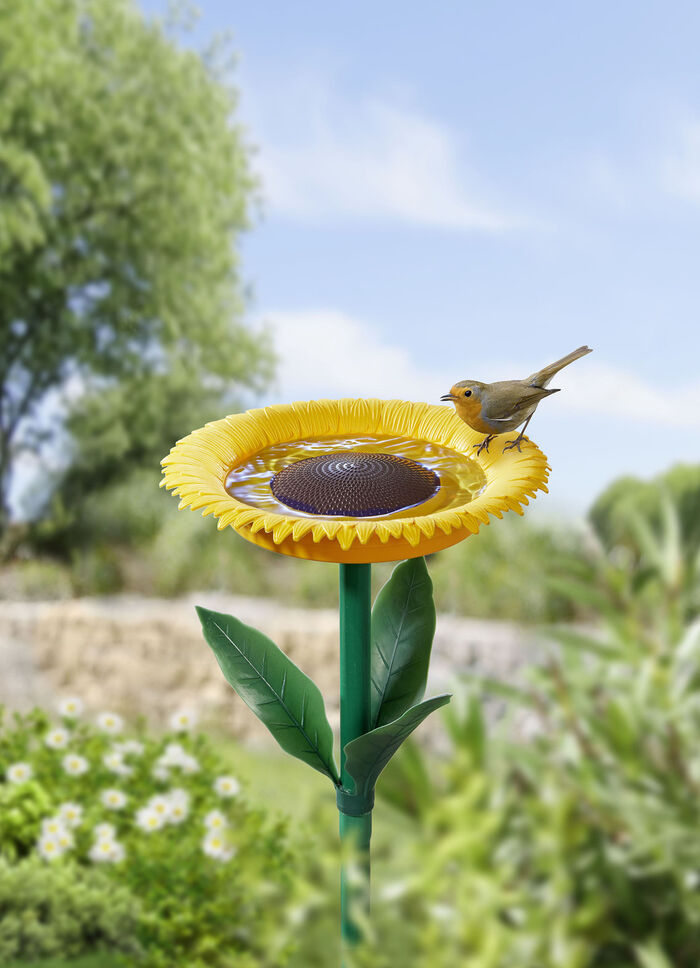 Voederstation voor zonnebloemvogels 