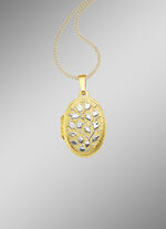 Medaillon om te openen in tweekleurig 