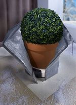 Winterpotbescherming IJs 