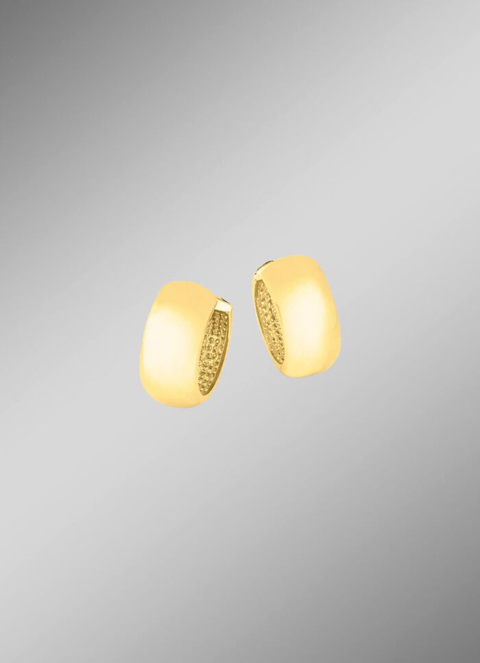 Tweekleurige creolen 