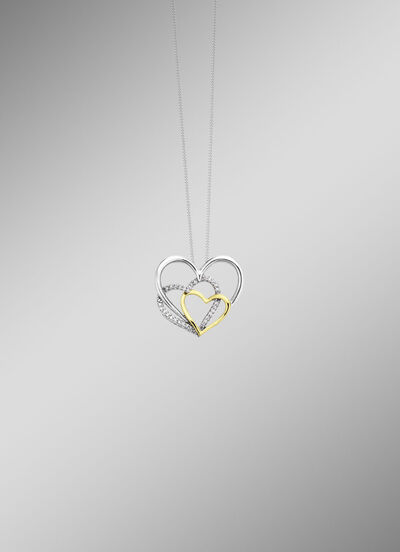 Hart hanger  Hart hanger