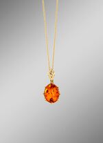 Kettinghanger met ketting 