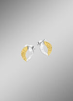 Tweekleurige oorbellen 