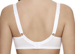 Susa 2-pack bh met delicate elastische kant 2X WIT