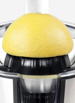 CP300-citruspers voor alle citrusvruchten, van Caso 