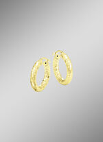 Gefacetteerde creolen van verguld zilver 