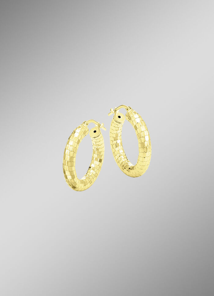 Gefacetteerde creolen van verguld zilver 