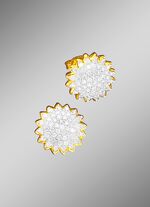 Oorbellen met briljanten 