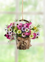 Margrietarrangement in een mandje met handvat 