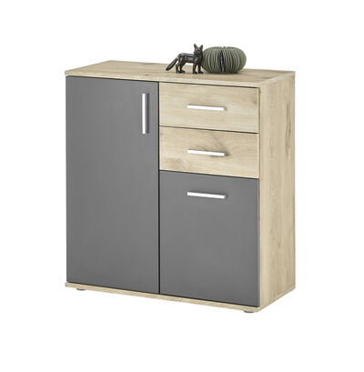 Moderne, combinatiesterke ladekast 