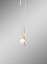 Stralende schoonheid &ndash; hanger van zilver met fijne vergulding 