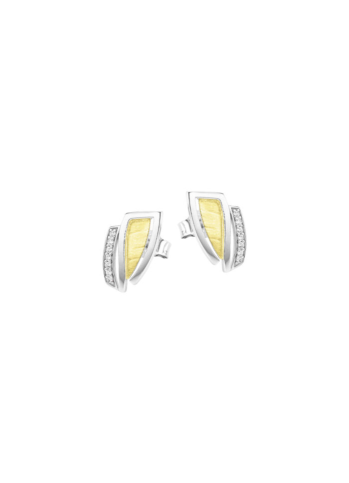 Moderne oorbellen in twee kleuren met zirkonia 