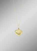 Hartvormige hanger met getextureerde voorkant 