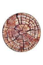 Tapijt in een natuurlijk boomstamdessin 