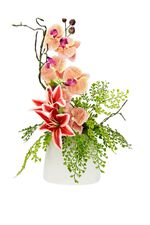 Charmant orchidee&euml;narrangement in een vaas 