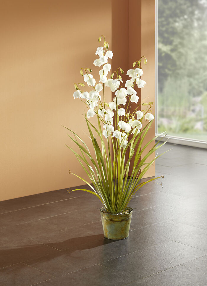 Gras in de pot 