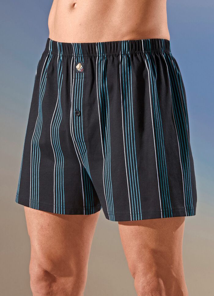 Pak van vier boxershorts met streepjesmotief 
