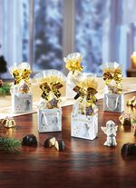 Kerstzakjes-set, 5-delig 