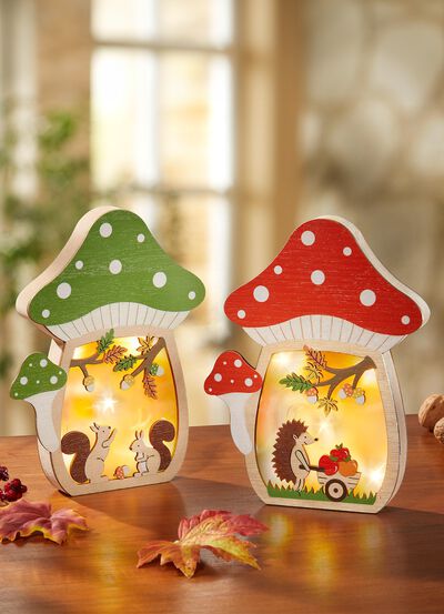 Verlicht paddestoelhuis, werkt op batterijen 