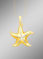 Interessante hangende zeester in tweekleurig 