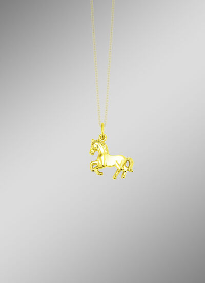 Gouden paardenhanger 