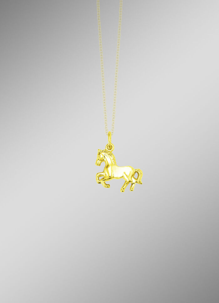 Gouden paardenhanger 