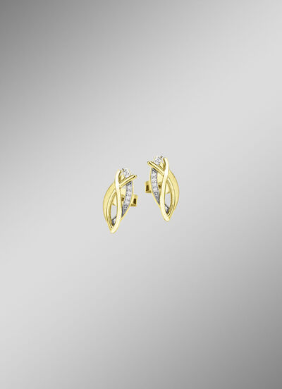 Elegante oorbellen 