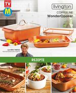 Livington Copperline WonderCooker inclusief glazen deksel en roosterinzet 