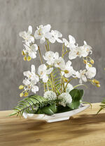 Orchideeën arrangement in kom WIT