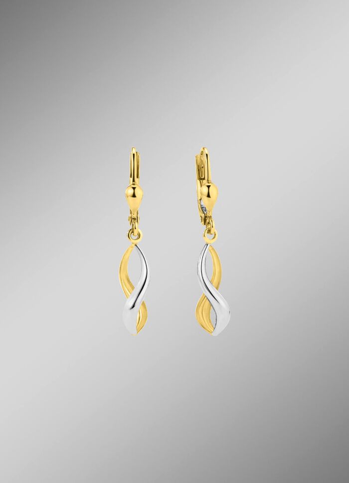 Gedraaide oorbellen in tweekleurig 