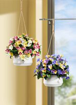 Viooltjes in hangmand 