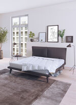 Heerlijk warm donzen dekbed serie Winter Dreams van Spessarttraum WIT