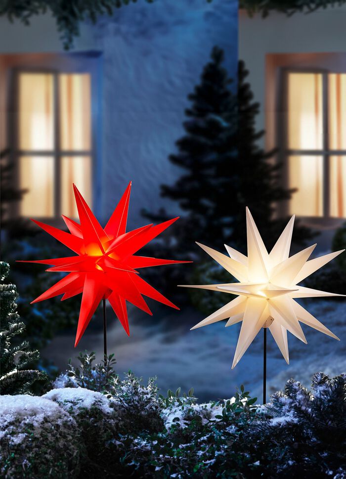 Kerstster met grondpin 