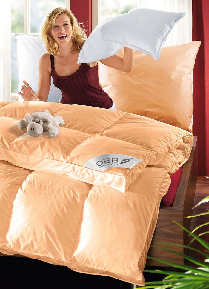 LET OP: gegevens uit migratie. De vertaalde tekst is onbekend. 