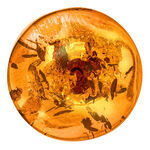 Unieke artikelen: Oorknopjes met echte, cognackleurige amber 