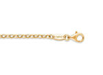 Vergulde ankerketting 