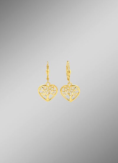 Vergulde oorbellen met zirkonia 