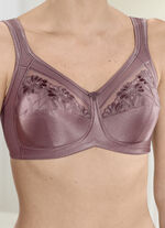 Anita reliëfbeha NOUGAT