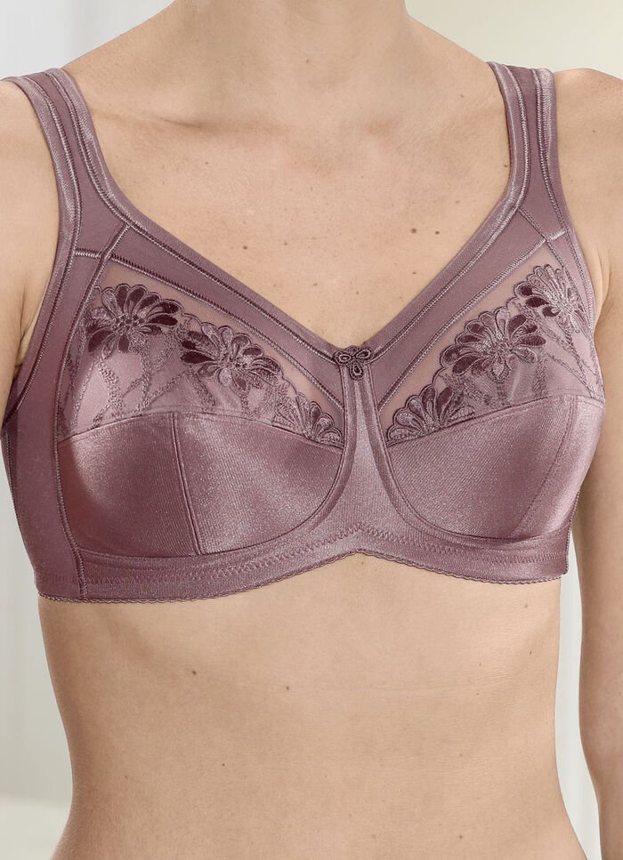 Anita reliëfbeha NOUGAT