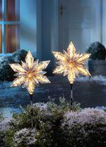 Tuinpaal ster, set van 2 